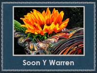 Soon Y Warren
